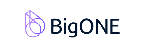 BigONE logo